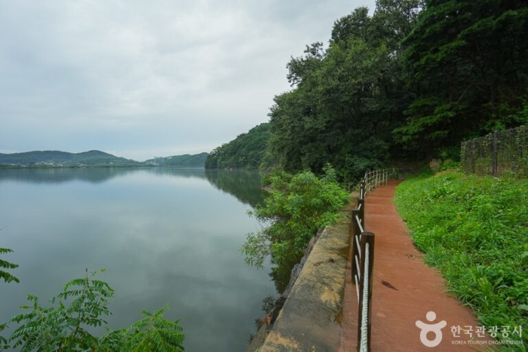 [충남] 청천호 둘레길
