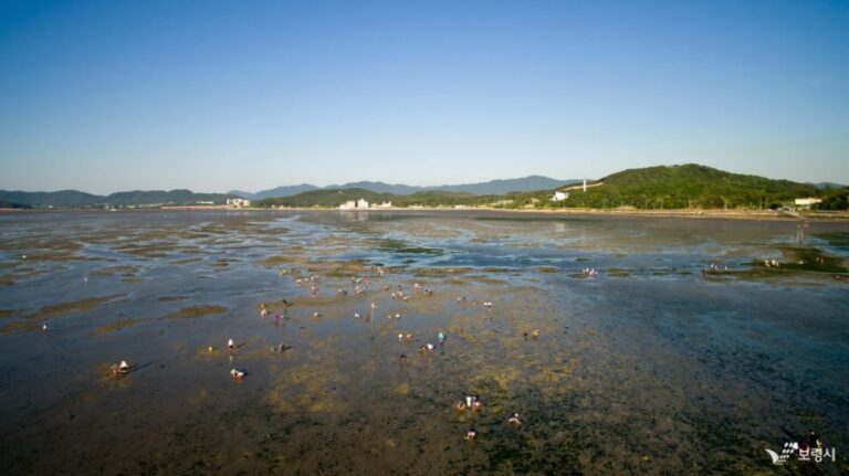 [충남] 군헌갯벌체험장