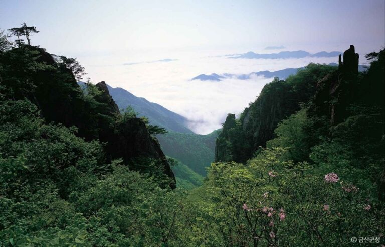 [충남] 대둔산도립공원(금산)