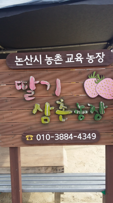 [충남] 논산 딸기삼촌농장