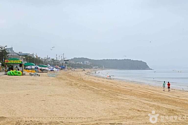 [충남] 보령 해수욕장 관광특구