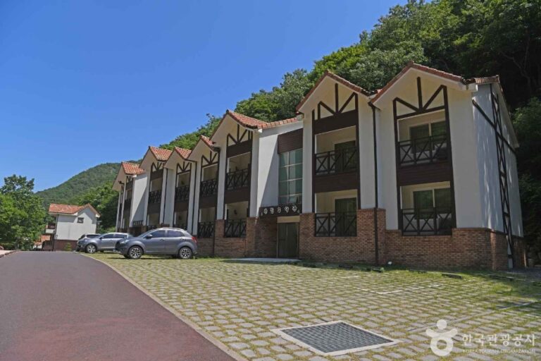 [충남] 느티골산림욕장