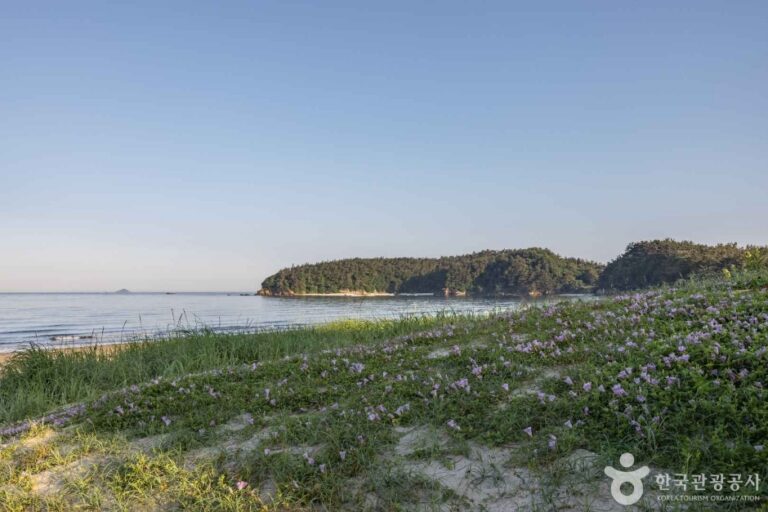 [충남] 장삼포해수욕장