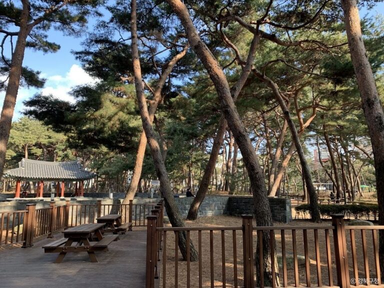 [서울] 솔밭근린공원