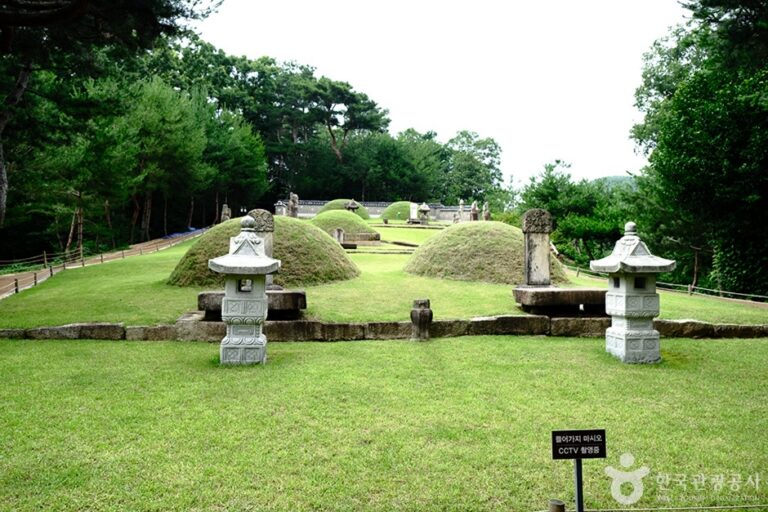 [서울] 서울 연산군묘