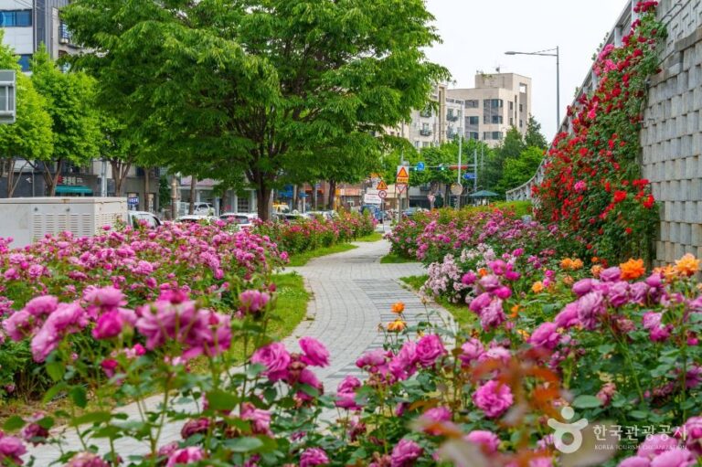 [서울] 중랑장미공원