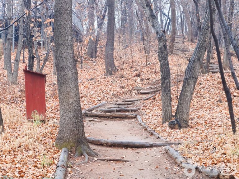 [서울] 봉제산공원