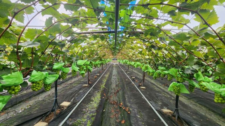 [인천] 온달과평강농원