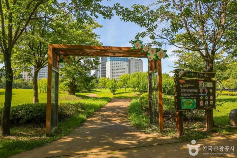 [대전] 들의공원