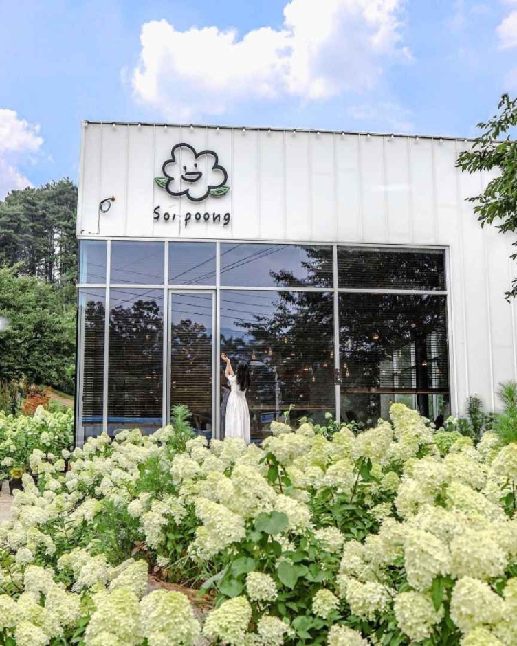 [경기] 카페 소풍