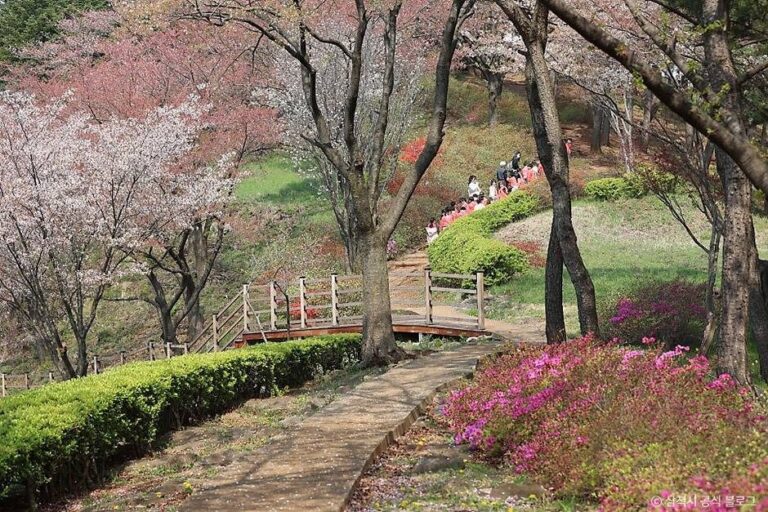 [강원] 봉황산산림욕장