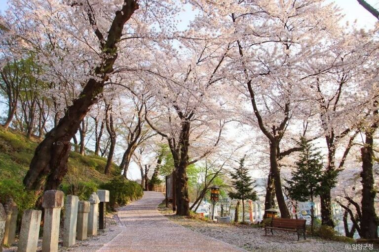 [강원] 현산공원