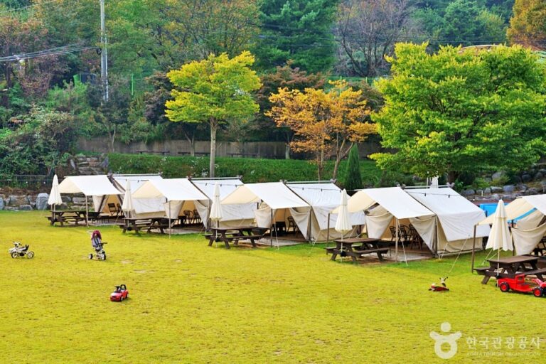 [충북] 보광산관광농원