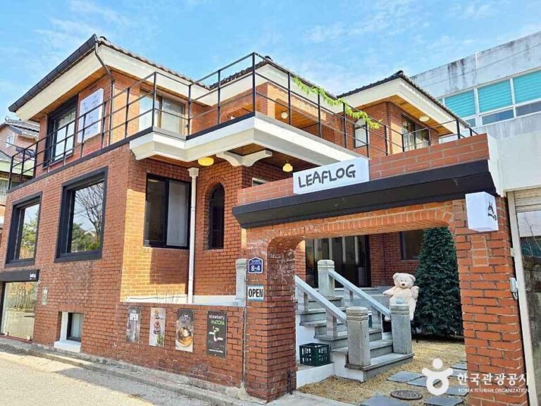 [충북] 리프로그