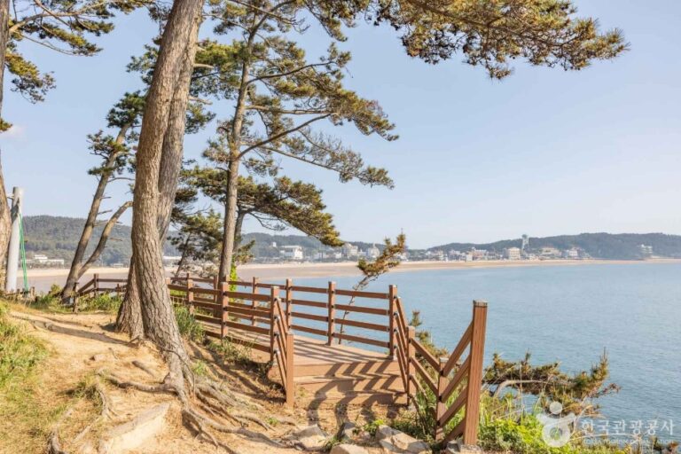 [충남] 뭍닭섬 산책로