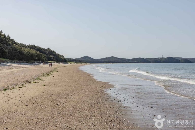 [충남] 삼봉해수욕장