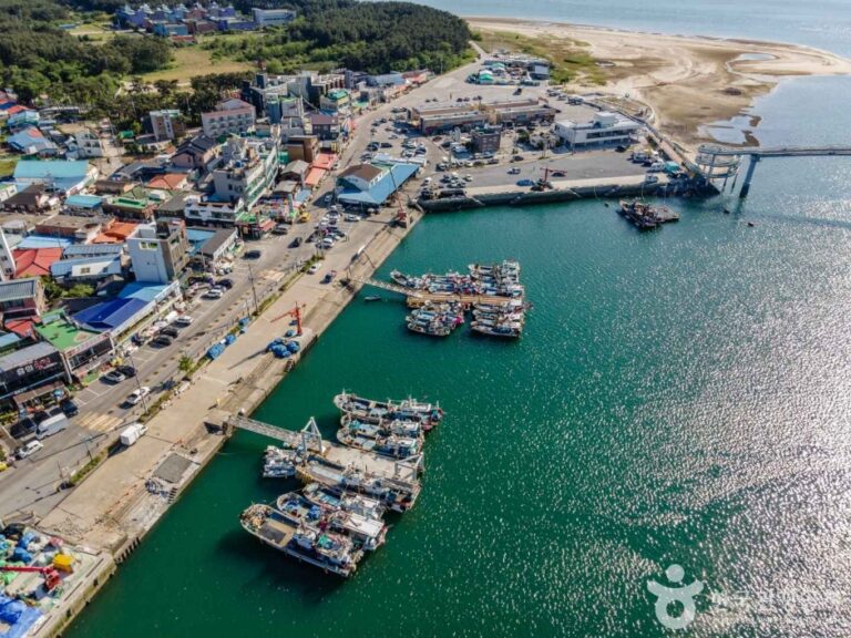 [충남] 백사장항