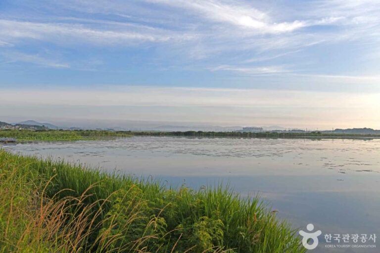 [충남] 모월저수지