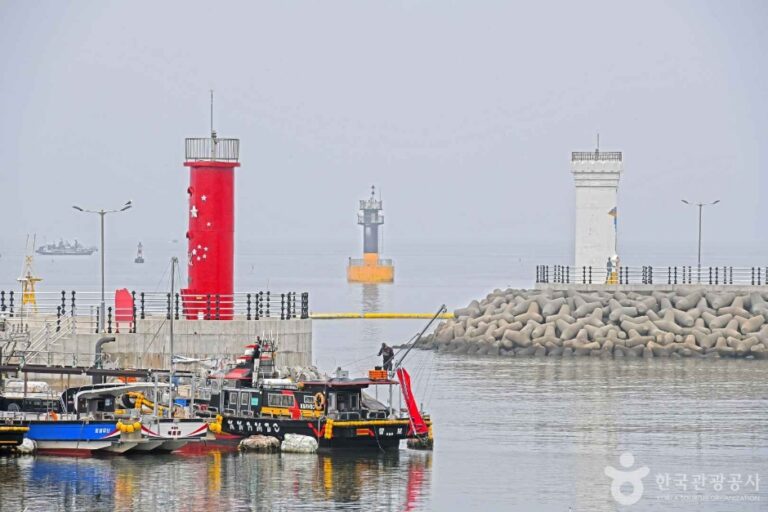 [충남] 무창포항