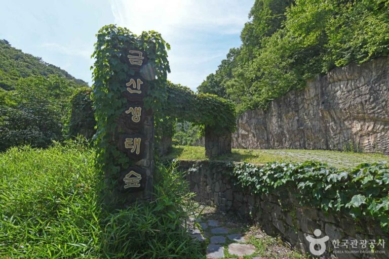 [충남] 금산생태숲
