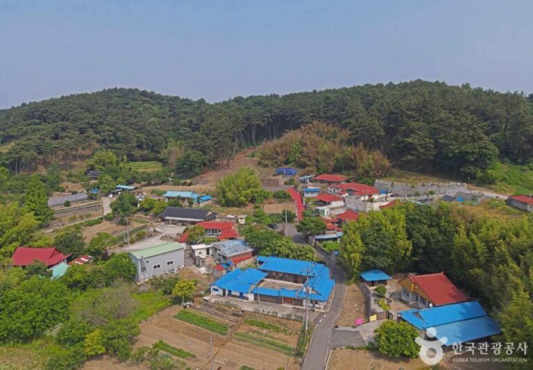 [충남] 황새마을(서천)