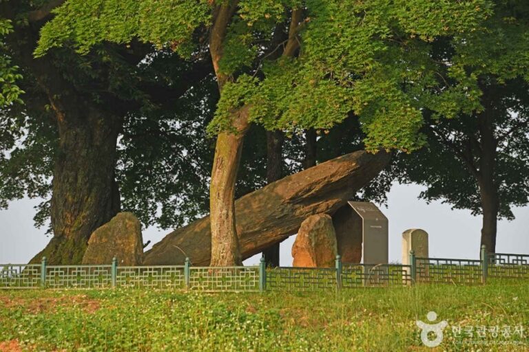 [충남] 부여 산직리지석묘
