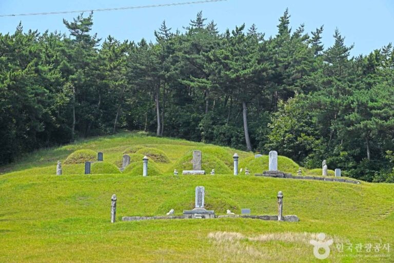 [충남] 이지함선생묘