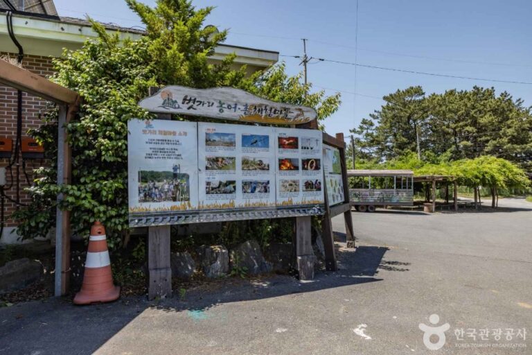 [충남] 태안 볏가리마을