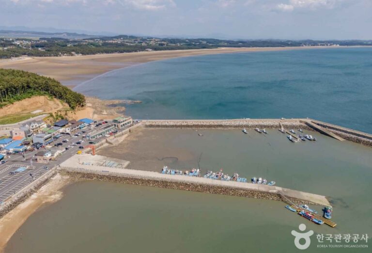 [충남] 몽대포구