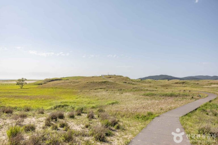 [충남] 신두사구 쉼터공원 (신두사구 생태공원)