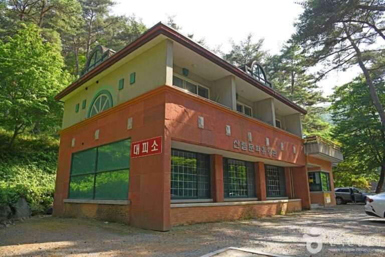 [충남] 만수산자연휴양림