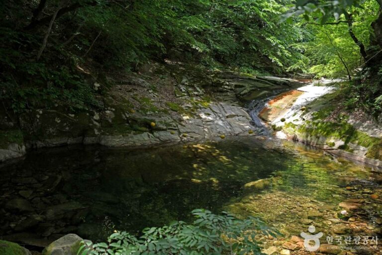 [충남] 동학사계곡