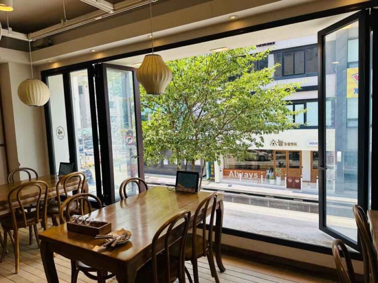 [대전] 보문산호랭이