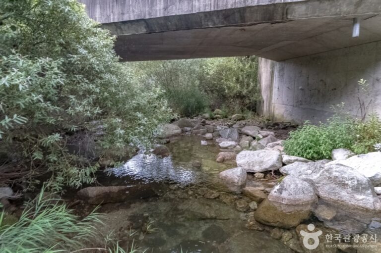 [강원] 상해계곡