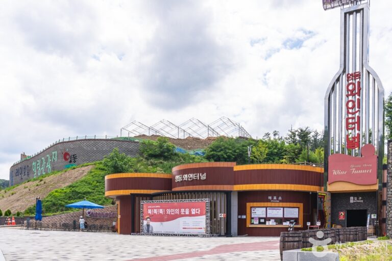 [충북] 영동 레인보우 힐링 관광지