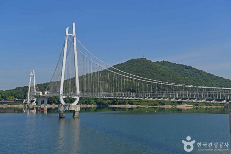 [충남] 논산 탑정호 출렁다리