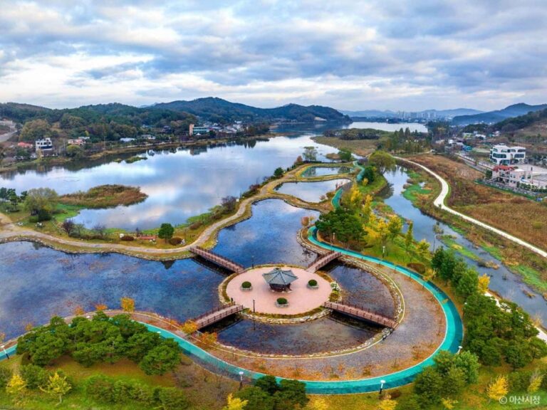 [충남] 신정호관광지