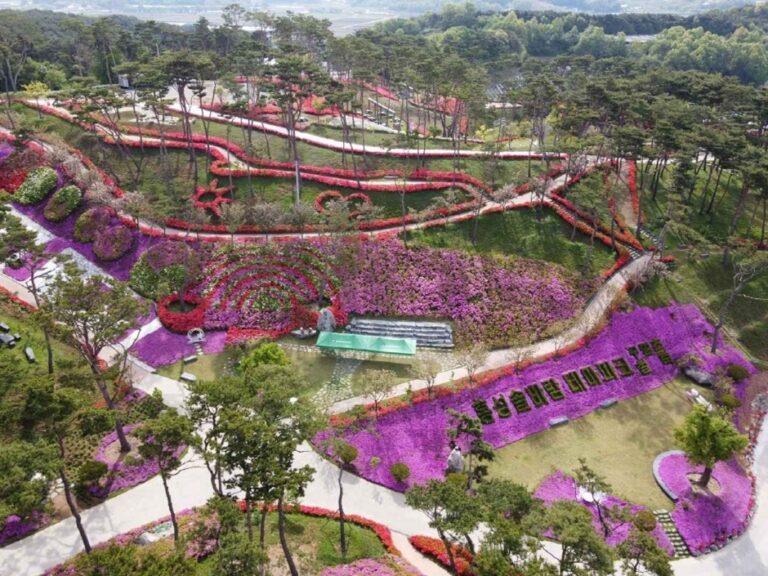 [충남] 홍성솔바람테마파크