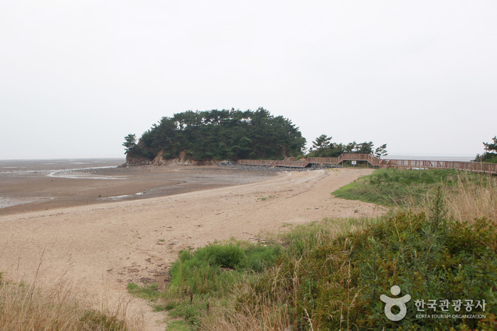 [충남] 홍성 속동갯벌마을
