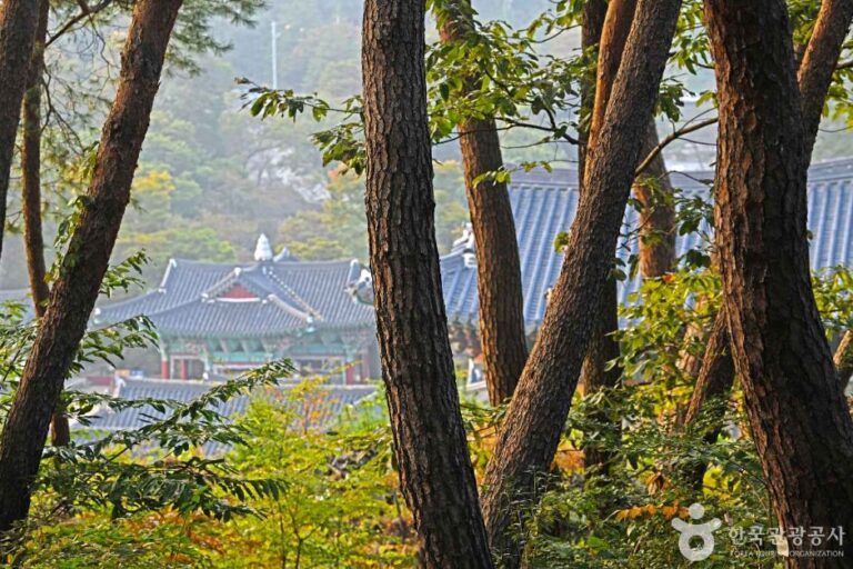[충남] 마곡사 천연송림욕장