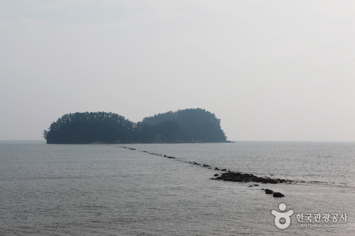 [충남] 선도리갯벌체험마을