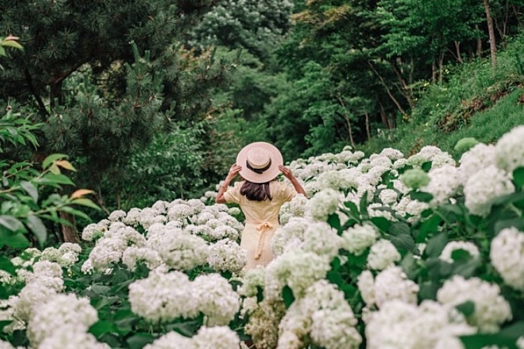 [충남] 삼선산수목원