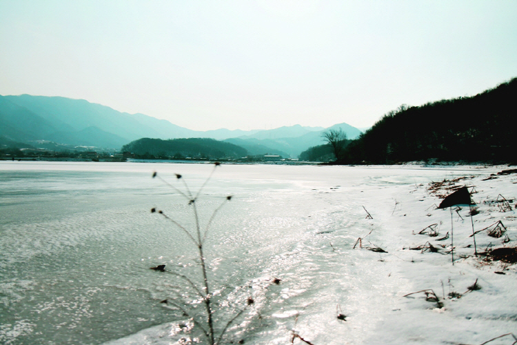[충남] 시장저수지(시장지)