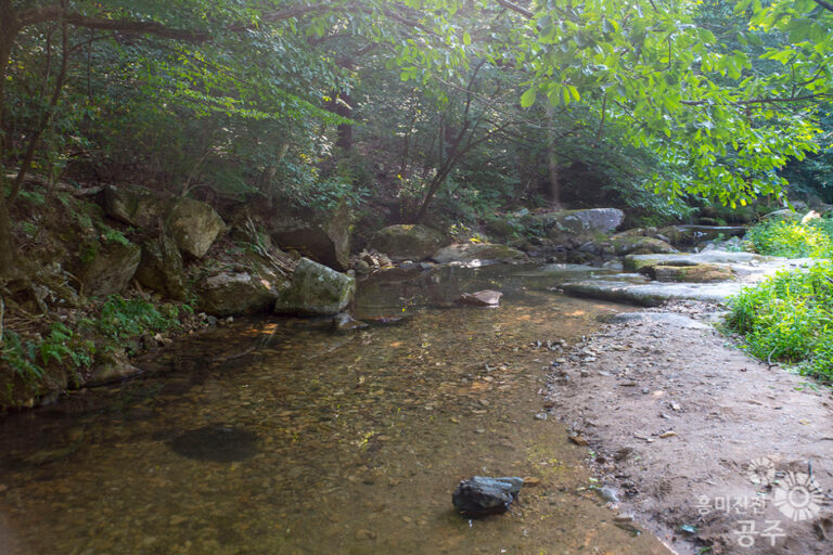 [충남] 동월계곡