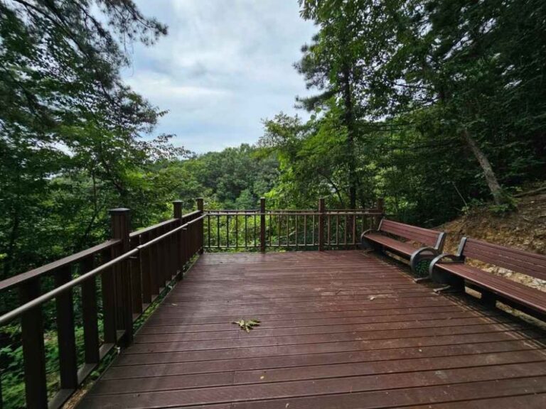 [충남] 태조산공원 무장애 나눔길