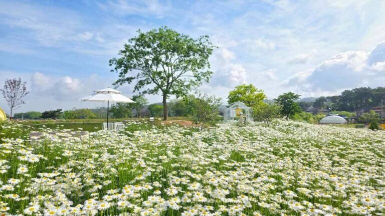 [충남] 비츠카페