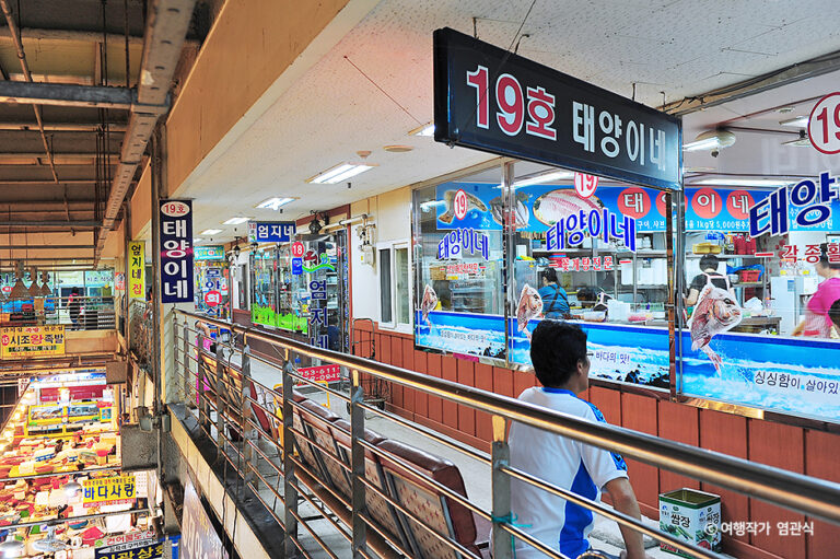 [충남] 태양이네