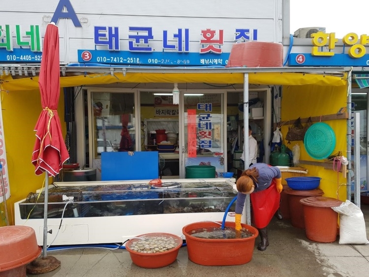 [충남] 태균네횟집