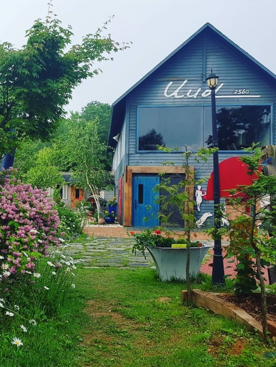 [충남] 나니아2560