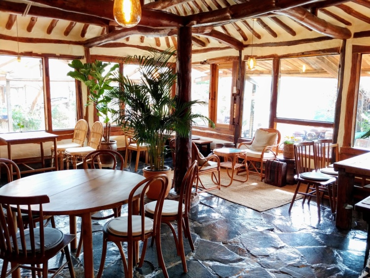 [충남] 오후의 산책